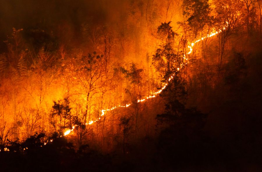 Fale upałów i pożary w Australii