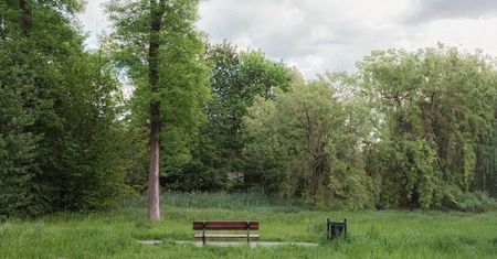 Zakaz koszenia traw. Miasto zdecydowało. Podało powód