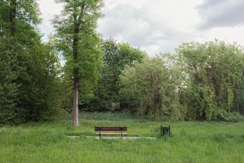 Zakaz koszenia traw. Miasto zdecydowało. Podało powód