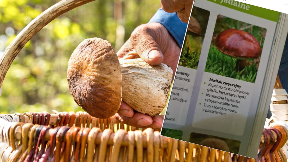 w sieci pokazała fragment podręcznika dla dzieci