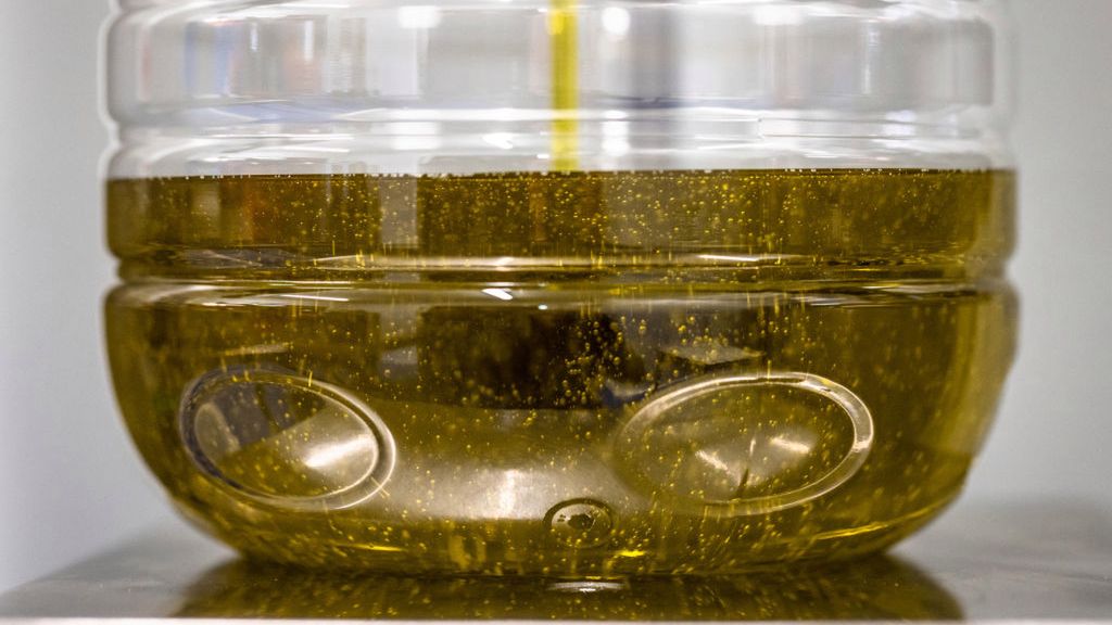 Winna przetworzona żywność i oleje roślinne. Naukowcy ostrzegają przed rakiem