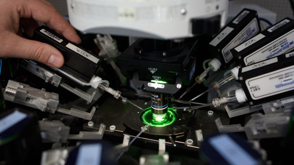 Budują działający sztuczny mózg w superkomputerze 1