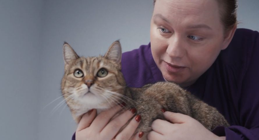 Brit pokazuje w kampanii oblicza weterynarii