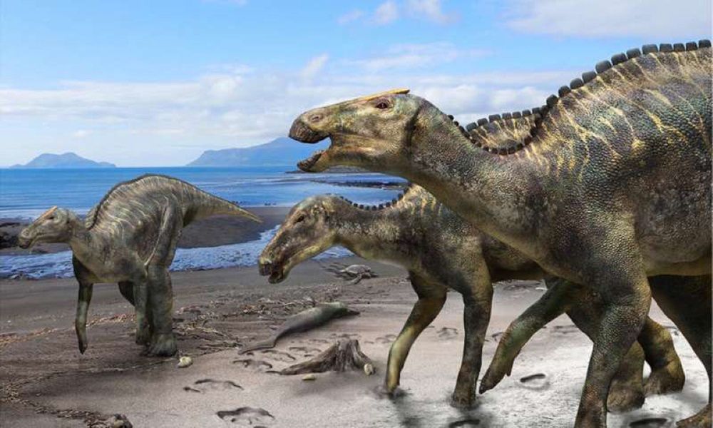 Dinozaur, który przeszedł ocean? Naukowcy odkryli coś, czego nie potrafią wyjaśnić