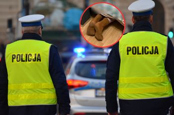 Policja zatrzymała alimenciarza. "Zdradziły go wystające stopy"