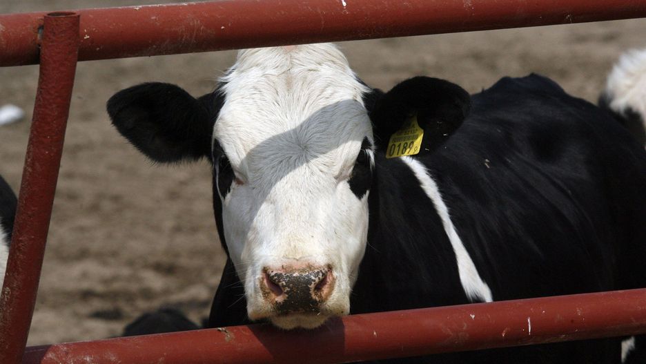 Rolnicy mogą jeszcze starać się o m.in. premię dla małych gospodarstw i dotacje w zakresie OZE.
