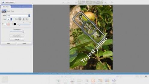 Picasa 3 wychodzi z fazy "beta" 3