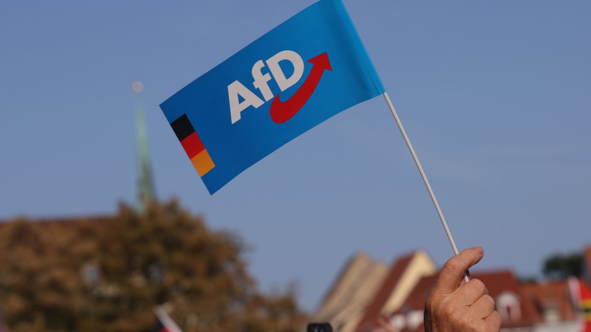 Rośnie poparcie dla AFD