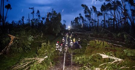 Wielki  Konkurs Fotograficzny National Geographic rozstrzygnięty! Poznajcie zwycięzców
