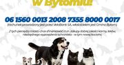 Bytom: Możesz pomóc zwierzakom w bytomskim schronisku