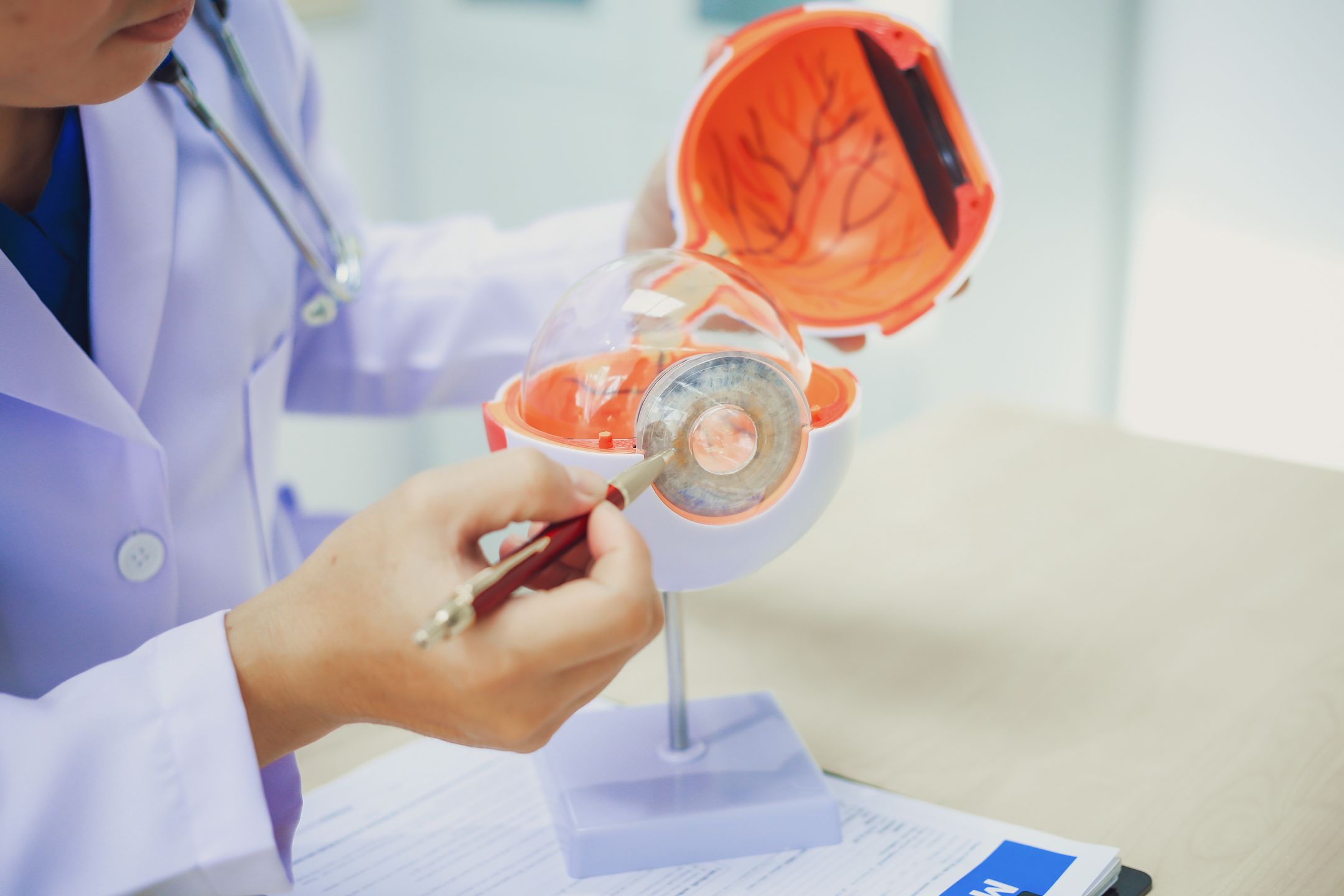 doctor, horizontal, photography, healthcare and medicine, patient, people, ophthalmologist, color image, hospital, medical exam, two people, adults only, illness, human body part, human eye, explaining, optometrist, medical clinic, eye, anatomical model, anatomist, artificial, care, optometry, retina, adult, white people, women, myopia, eye exam, anatomy, doctor's office, eye test equipment, advice, eyeball, prevention, cornea, lab coat, professional occupation, illness prevention, examining, expertise, males, young adult, astigmatism, 30-34 years, healthcare worker, indoors, men