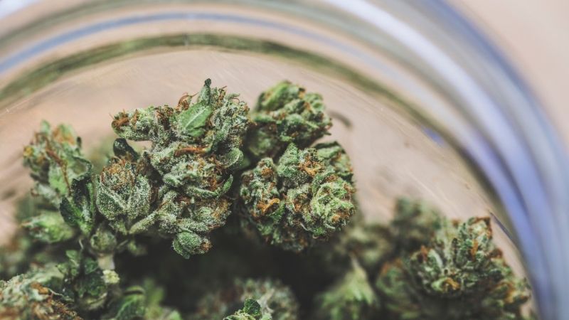 medyczna marihuana