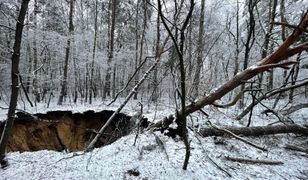 Mieszkańcy Trzebini przerażeni. "Strach żyć"