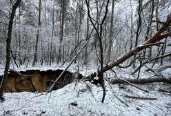 Mieszkańcy Trzebini przerażeni. "Strach żyć"