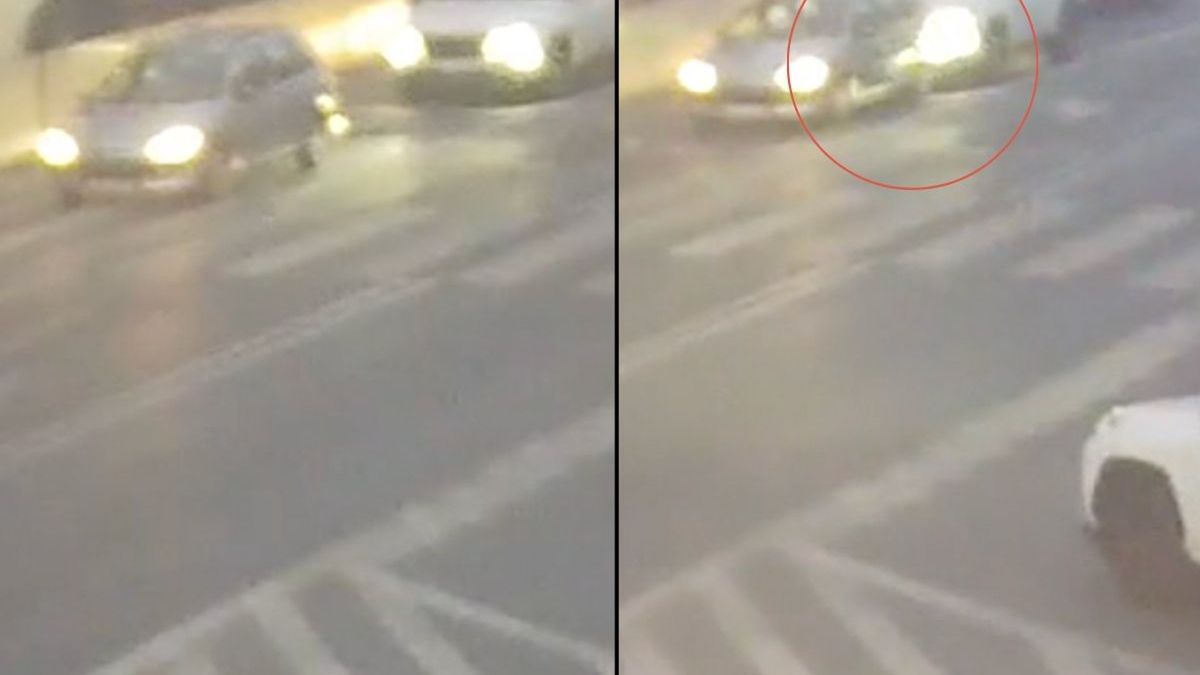 Zatrzymał się na pasach, chciał cofnąć i spowodował kolizję 