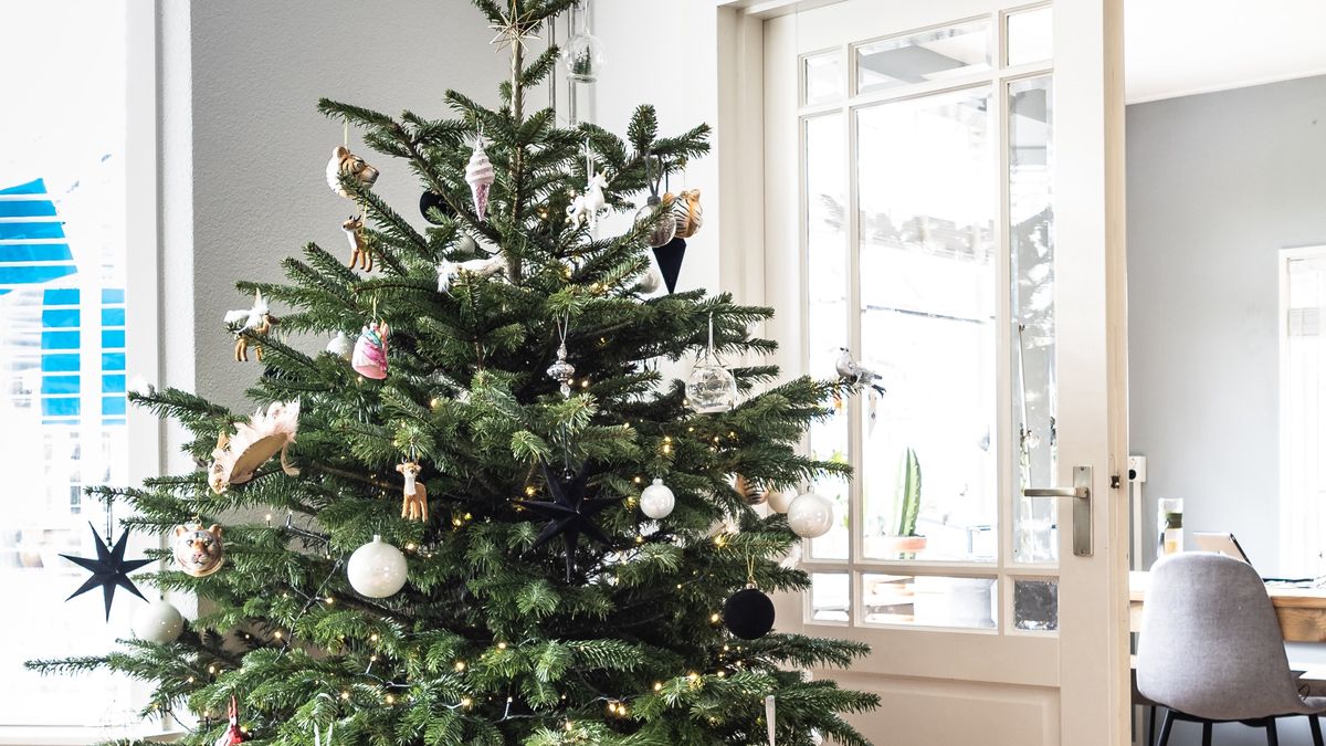 christmas choinka bombki święta