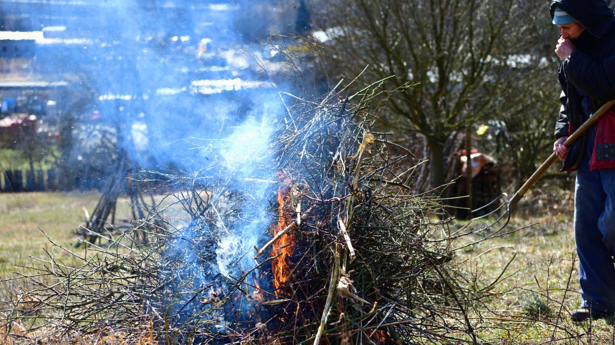 Palenie gałęzi na działce