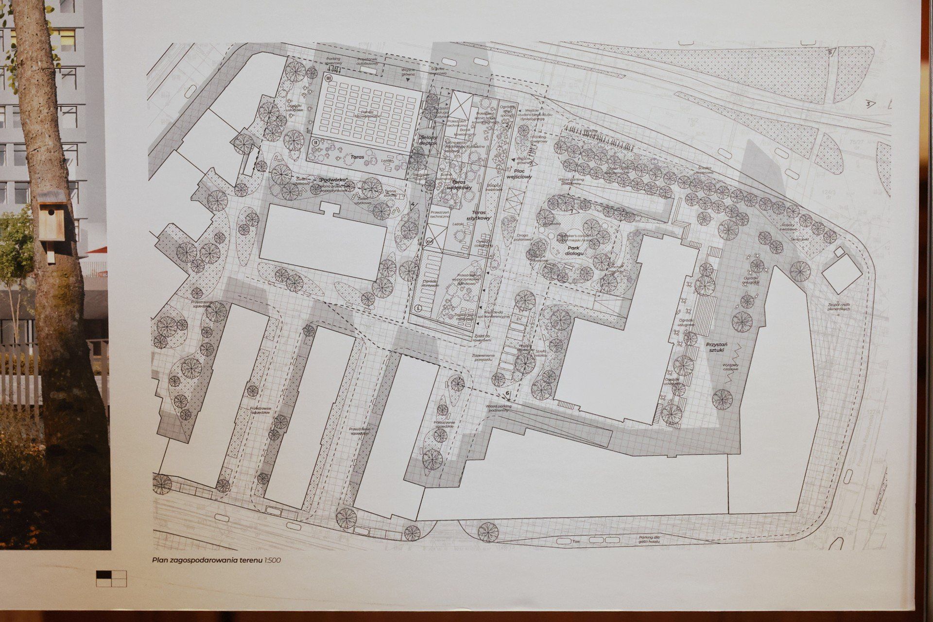Tak będzie wyglądać DS Jowita po remoncie! Znamy projektantów