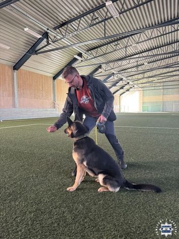 Policjant z Ostrowca i Szaga na szkoleniu w Szwecji. To duet z trzyletnim doświadczeniem