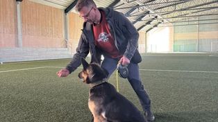Policjant z Ostrowca i Szaga na szkoleniu w Szwecji. To duet z trzyletnim doświadczeniem