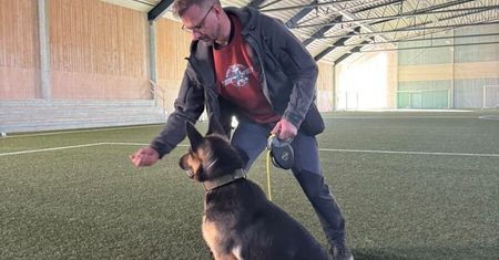 Policjant z Ostrowca i Szaga na szkoleniu w Szwecji. To duet z trzyletnim doświadczeniem
