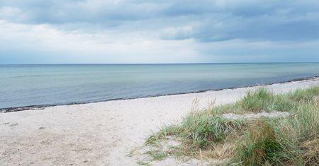 Bałtyk wyrzucił go na brzeg. Naukowcy szukają odpowiedzi
