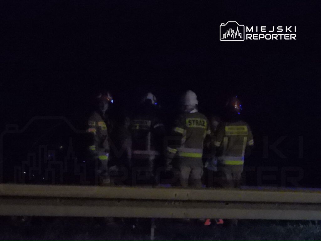 Czterech strażaków w mundurach omawia sytuację na poboczu drogi w nocy.