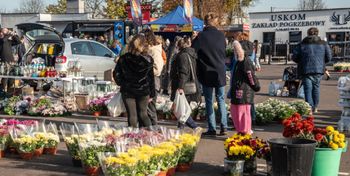 Toruń: Z noktowizorami pilnowali cmentarzy. Ponad czterdzieści interwencji