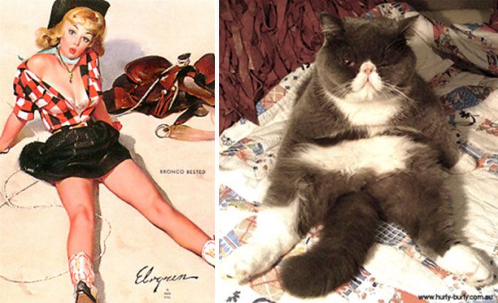 Koty, które pozują jak dziewczyny pin-up z dawnych amerykańskich plakatów 9