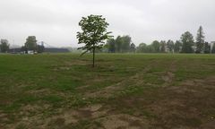 Bielsko-Biała. Czesi wyburzyli elektrownię. Zamiast kominów, będą drzewa