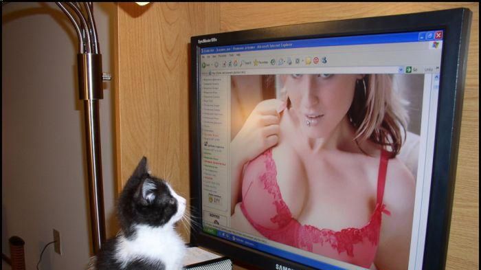 10 niedorzecznych reklam, według których Internet nie jest dla porno 1