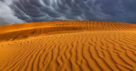 Co to oznacza dla ludzi? Sahara po 2050 r. "Zaskakująca" zmiana