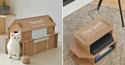 Samsung pakuje telewizory w eko-pudełka. Zrobisz z nich domek dla kota
