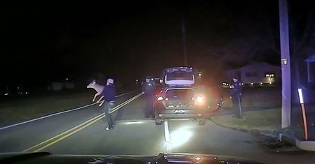 Żywy jeleń w bagażniku 19-latka. Policjanci kazali go wypuścić