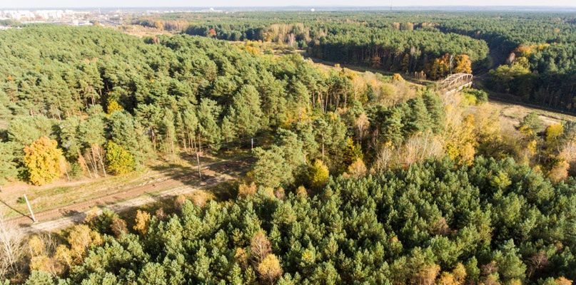 Na straży przyrody i polskich lasów już 95 lat