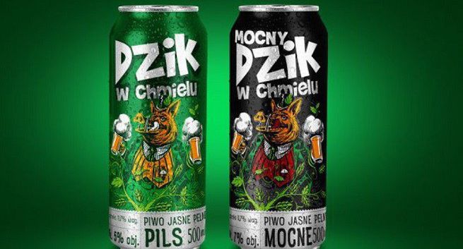 Dzik w Chmielu w ofercie Amic Energy