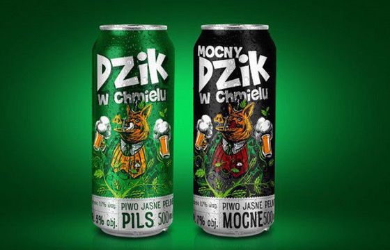 Dzik w Chmielu w ofercie Amic Energy