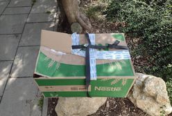 Alarm w oknie życia. W środku koty w pudle