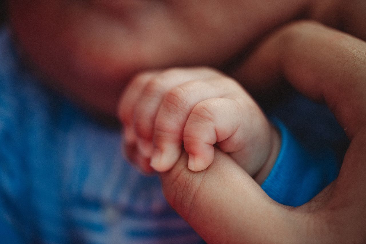 Newborn Baby Holds Adults Hand / Fingers
Connection and touch between adult and newborn baby.
Jill Lehmann Photography