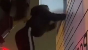 Sceny przy paczkomacie. "Powinnam dostać nagrodę Nobla"