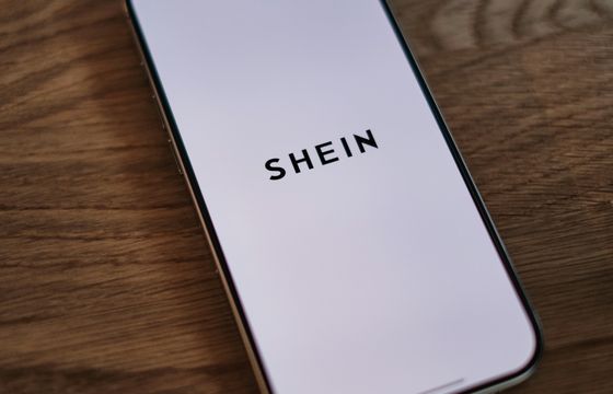 Lalki erotyczne na Shein. Komisja Europejska wszczyna postępowanie