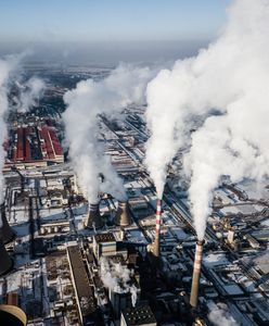 Napędzają kryzys klimatyczny. Wielkie koncerny coraz częściej pozywane