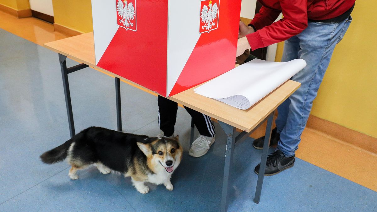 Wybory samorządowe 2024. Można zarobić podczas pracy w obwodowych komisjach wyborczych