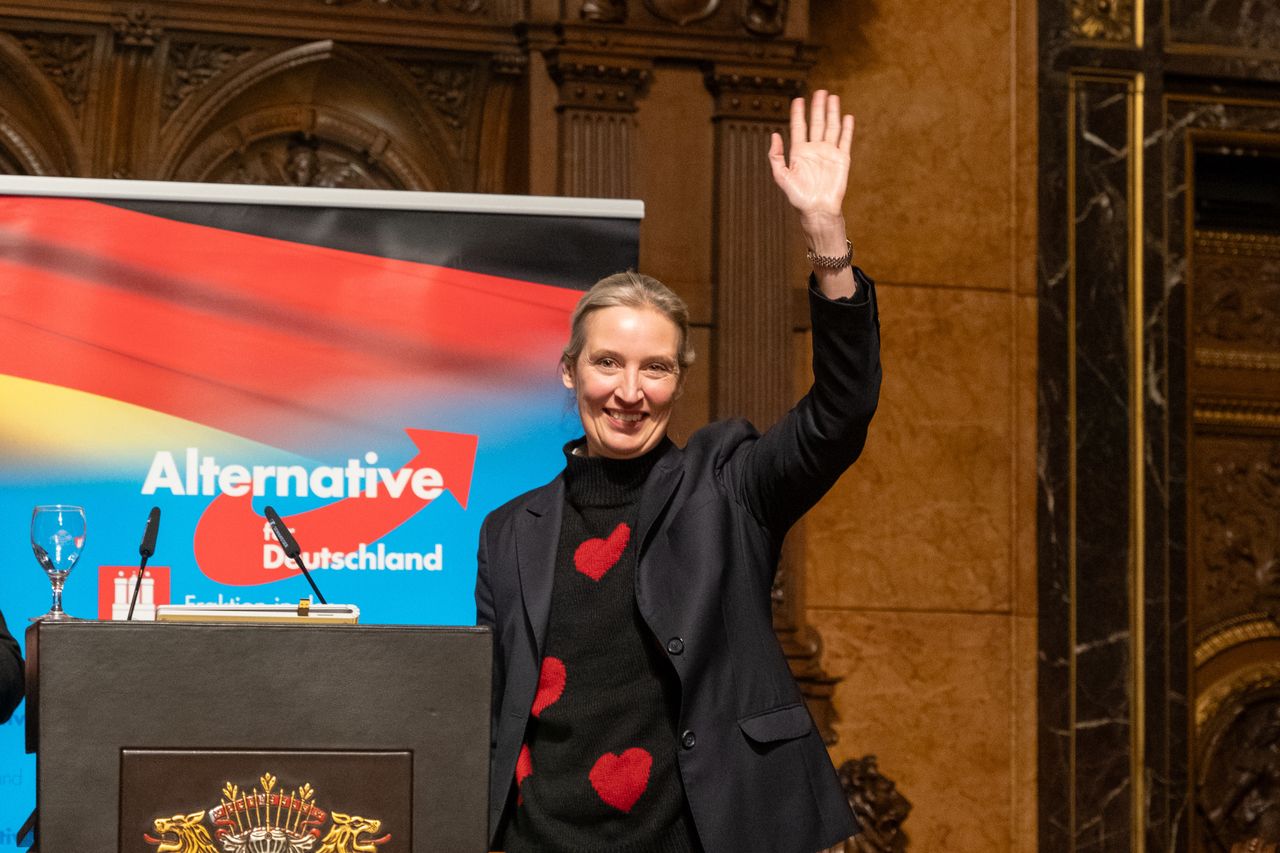 German tycoon fuels controversy with record AfD donation