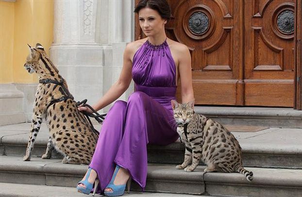Ania Wiśniewska pozuje z kotami - "gepardami" (FOTO)