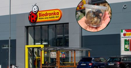 Kupisz za grosze w dyskoncie. Wygląda jak zepsuty, ale działa cuda
