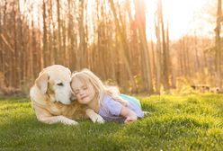 PEDIGREE® wspiera psich opiekunów w potrzebie