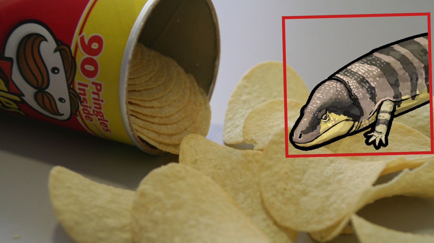 Struktury skalne sprzed milionów lat niczym "puszki po Pringles". Zaskakujące odkrycie