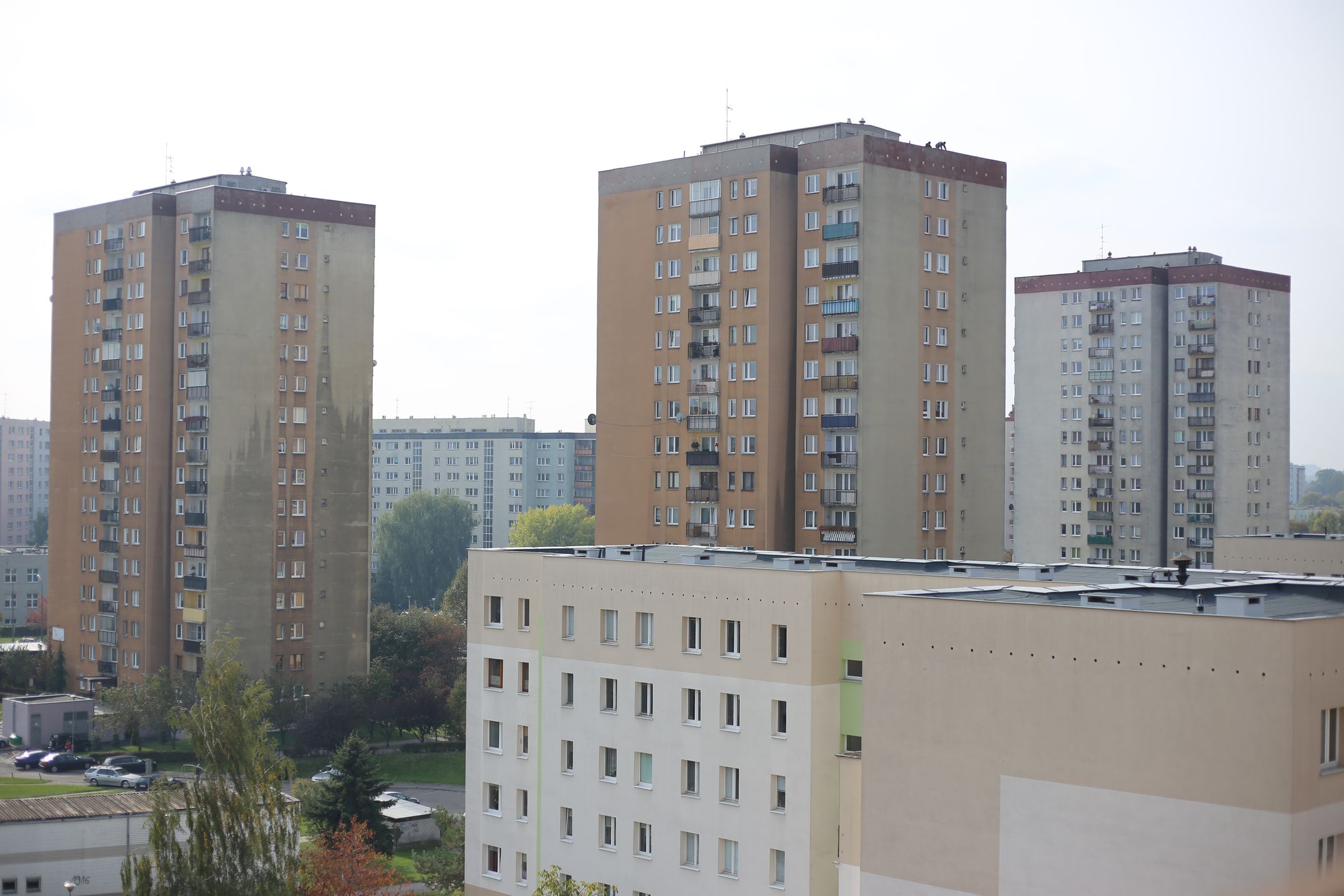 Canon EF 50 mm f/1.8 STM - niedroga przepustka do poważnej fotografii [recenzja] 64