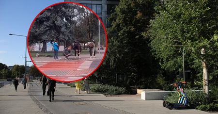 Podbili serca internautów. Pomogli małemu chłopcu